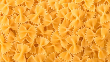 Calculating Costs and Margins: A Practical Guide for Tour and Activity Providers