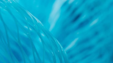 Google's E-E-A-T Principle for Travel & Experience Brands