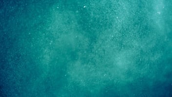 Link Building for Tourism Businesses: The Complete Guide