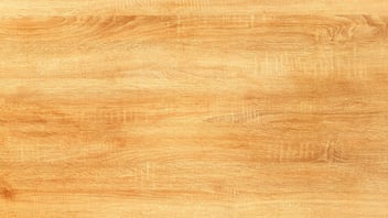 How to Plan for Seasonal Slowdowns Using Forecasting Models (Instead of Hoping for the Best)