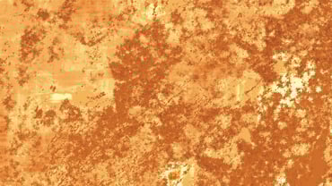 Content Strategy and SEO Tactics for Tour and Activity Providers