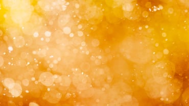 Schema Markup: What Tour Providers Need to Know