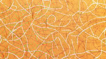 What Is Brand Salience? A Practical Guide for Tour and Activity Providers