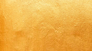 The Tour Operator's Survival Guide to Zero Click Search