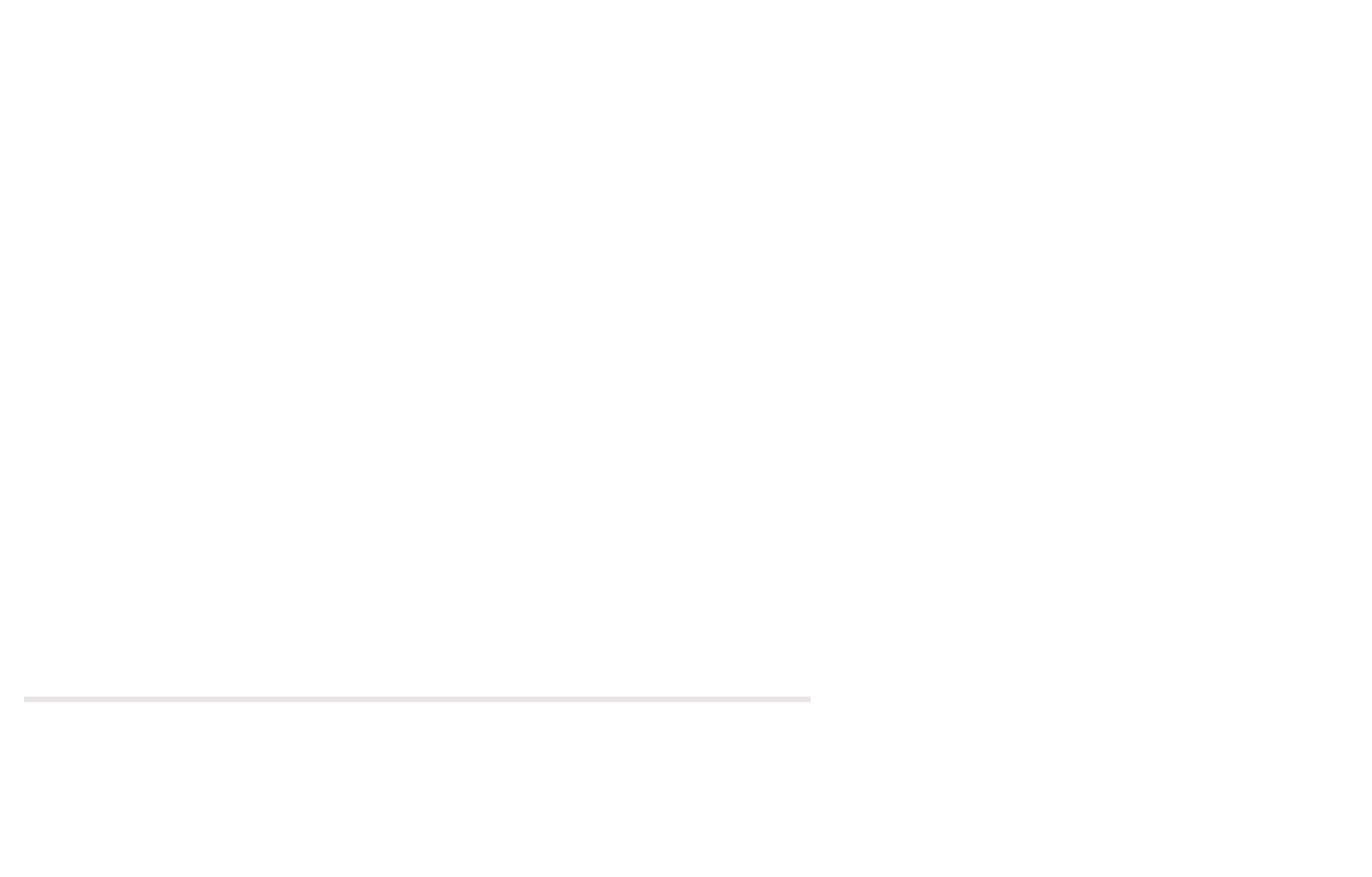 Asheville By Foot Logo FINAL-04