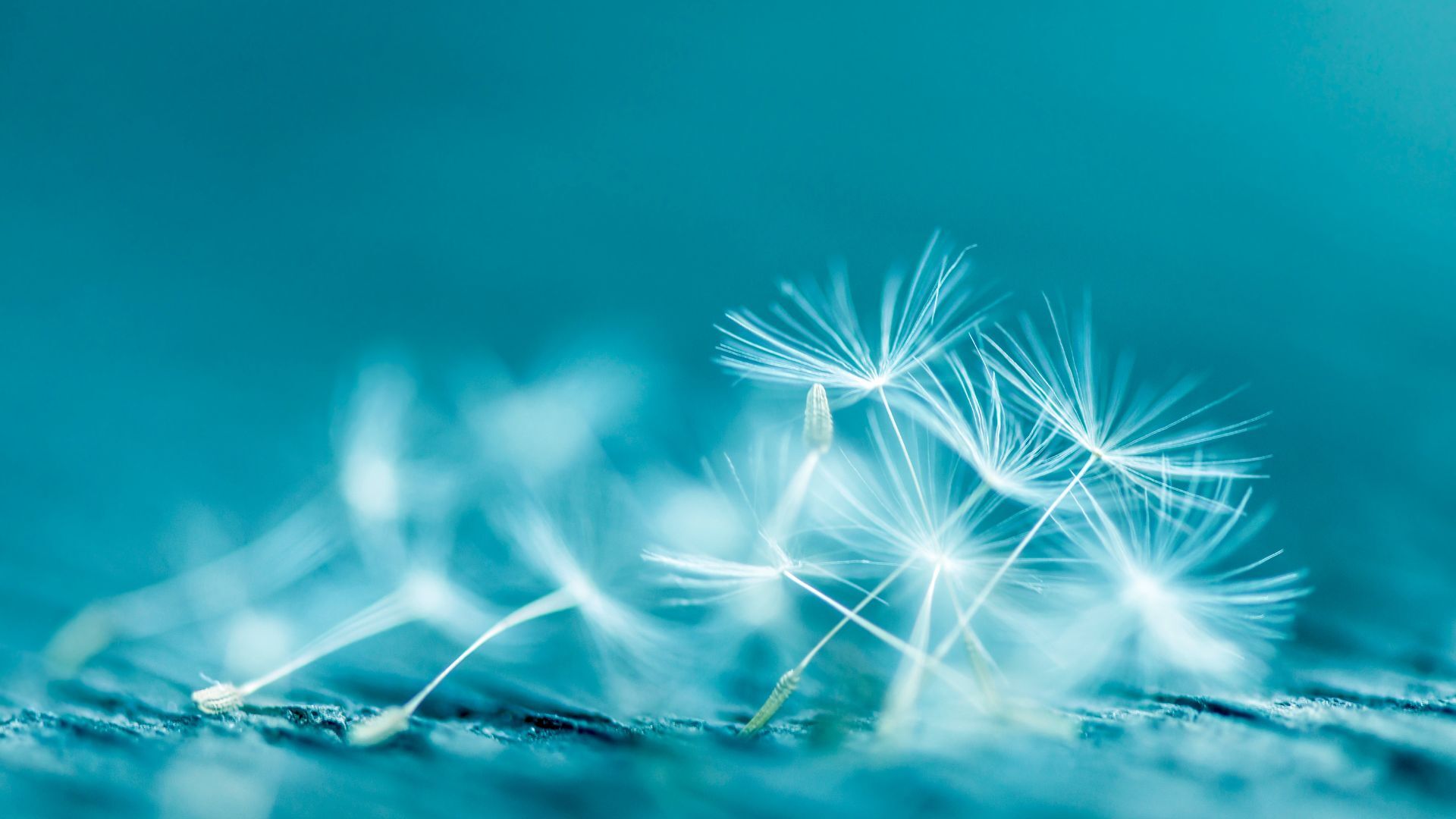 Understanding the Core Pricing Frameworks for Tours